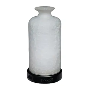 Evoke Scentsy Diffuser