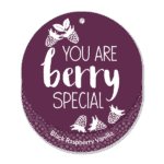 Black Raspberry Vanilla Scent Circle