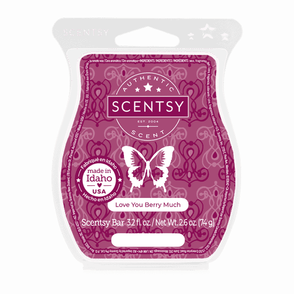 Love You Berry Much Scentsy Bar