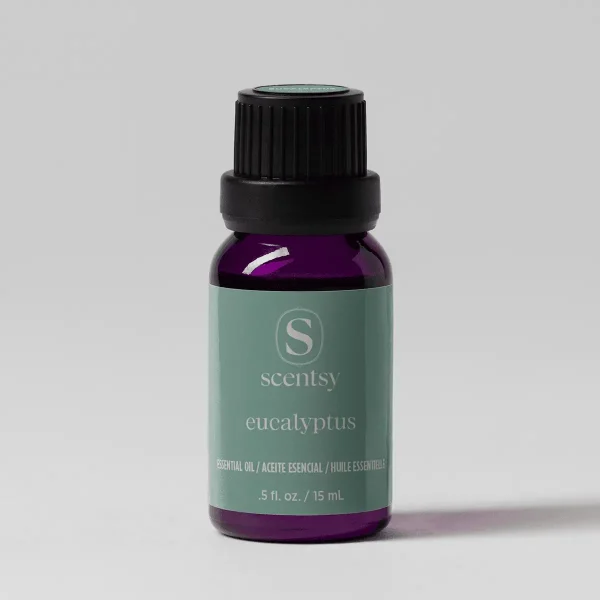 Small dark purple glass bottle with black screw cap and sage-green label featuring the Scentsy logo and text, containing Eucalyptus 100% Pure Essential Oil, 15 mL