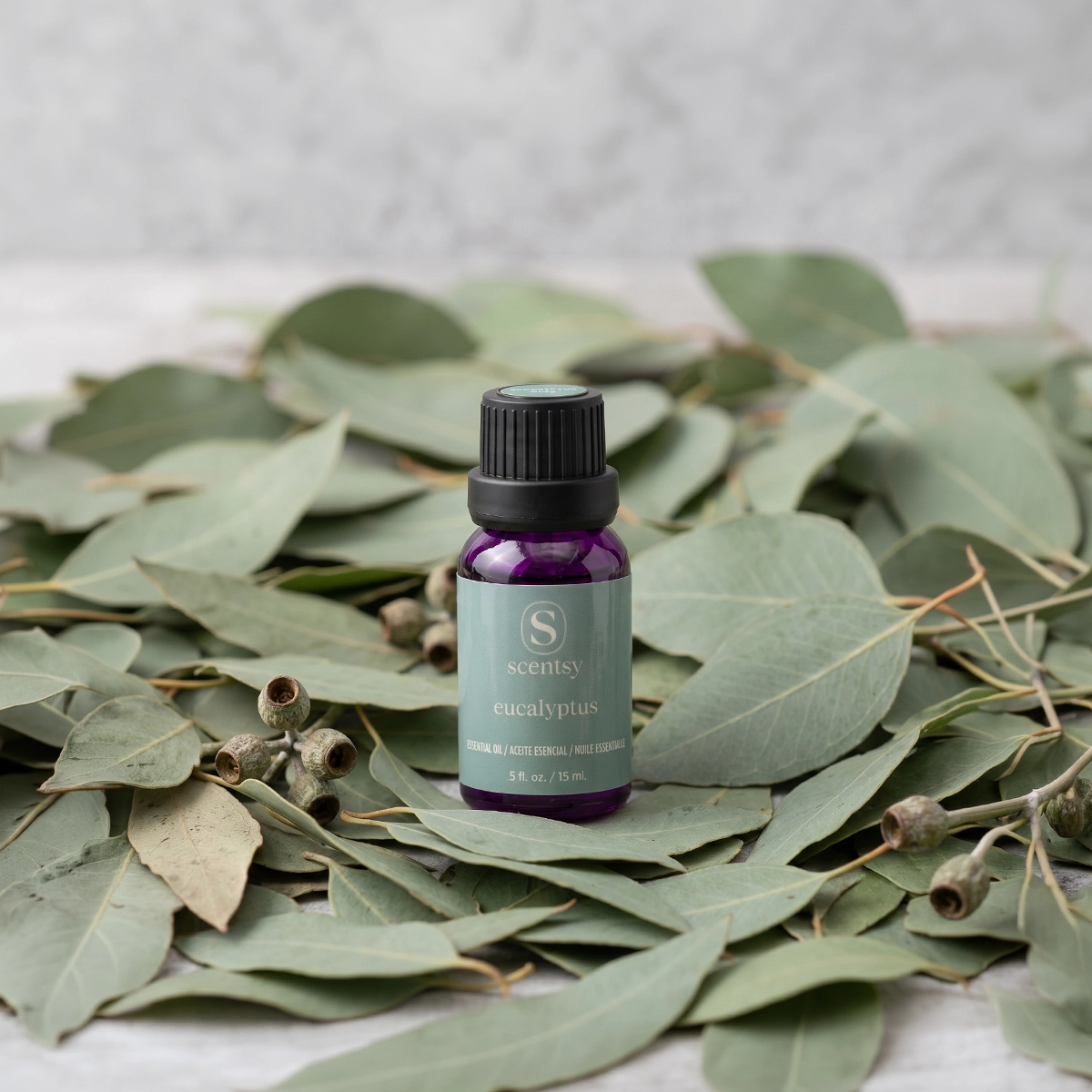 Small bottle of Eucalyptus 100% Pure Essential Oil with purple liquid, black cap, and pale grey label, surrounded by fresh eucalyptus leaves and seed pods