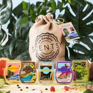 La Habana Scentsy Bundle