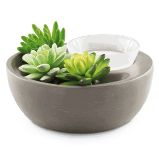 Grey ceramic bowl warmer with faux green and white succulents and a removable white dish insert, the Little Garden Scentsy Warmer