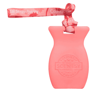 Coastal Strawberry Car Bar