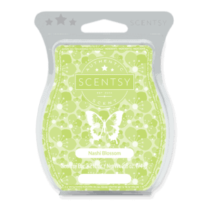 Nashi Blossom Scentsy Bar