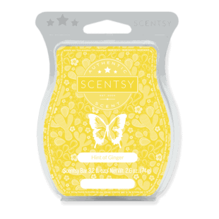 Hint of Ginger Scentsy Bar