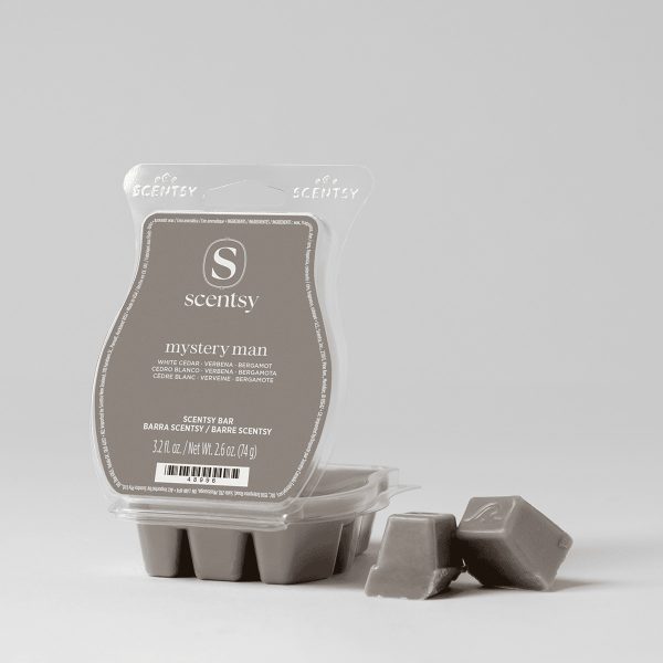 Grey wax bar segments in a clear plastic clamshell, the Mystery Man Scentsy Bar, with loose cubes displayed in front