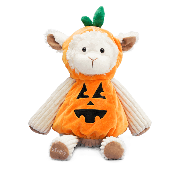 Pumpkin Buddy Clothing