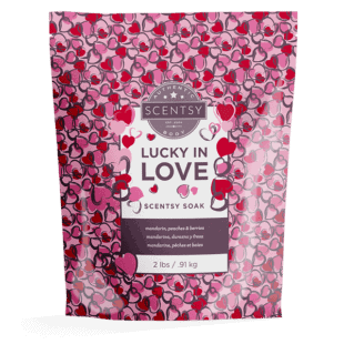Lucky in Love Scentsy Soak