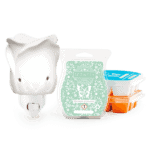 Scentsy System - $34 Mini Warmer