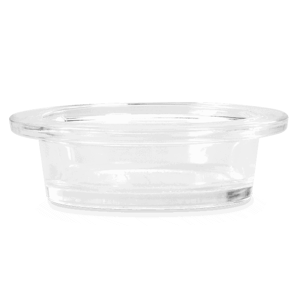 Mercury Glass Dish