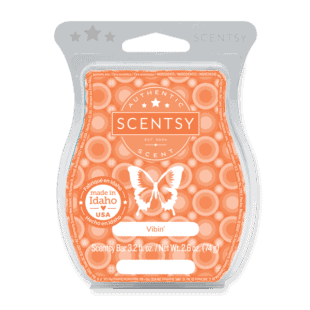 Vibin' Scentsy Bar
