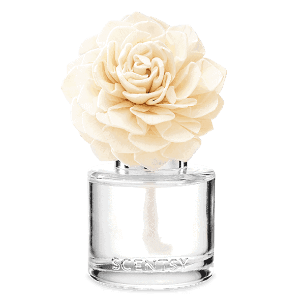 Cream-coloured layered rose bloom sitting in a clear glass Scentsy vessel, the Pineapple en Fuego Fragrance Flower