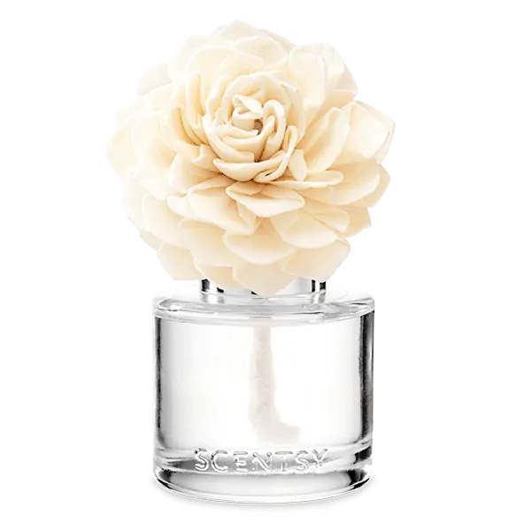 Darling Dahlia Fragrance Flower