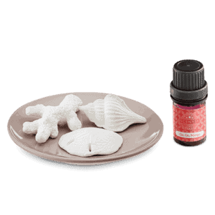 Aroma Porcelain in Go, Go, Mango