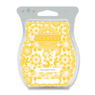Marigold Fields Scentsy Bar