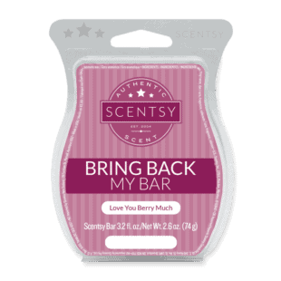 Love You Berry Much Scentsy Bar
