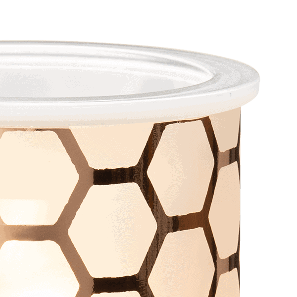 Hive a Nice Day Scentsy Warmer Detail