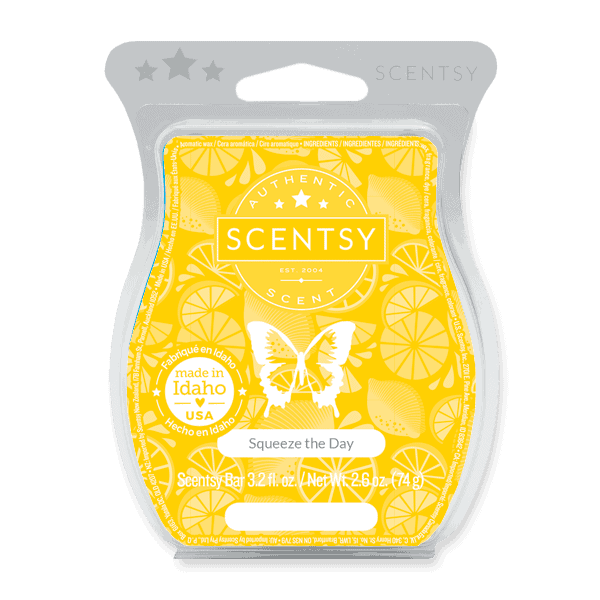 Squeeze the Day Scentsy Bar