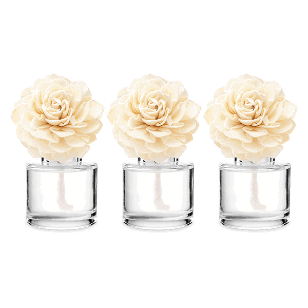 3 Fragrance Flowers