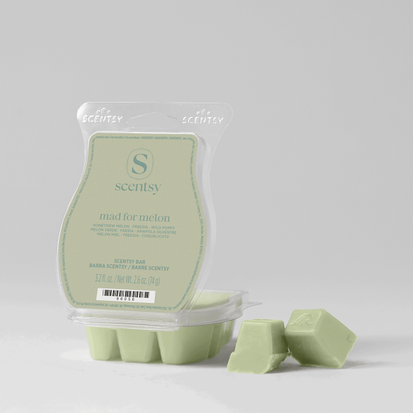 Mad for Melon Scentsy Bar - Pale green Scentsy Bar wax melt in clamshell packaging labeled Mad for Melon, with six molded bars visible and two individual pieces displayed in front