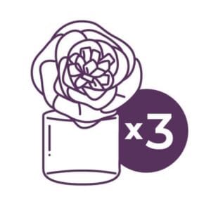 3 Fragrance Flowers