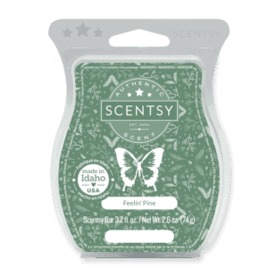 Feelin' Pine Scentsy Bar