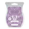 Vanilla Blackberry Scentsy Bar – Scentsy Online Store