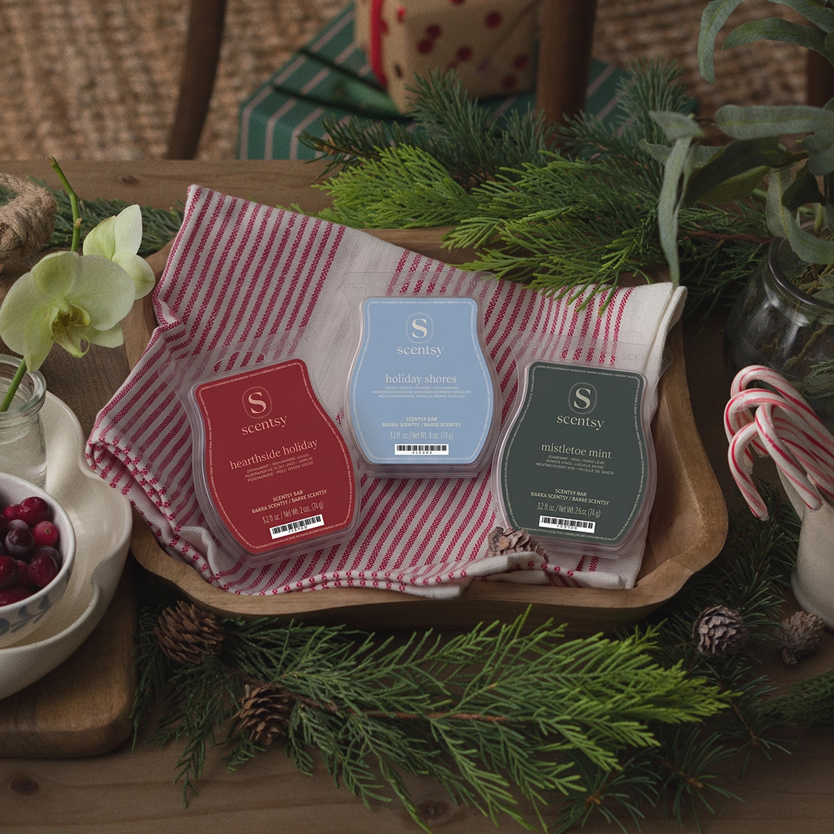 Three Scentsy Bars in red, light blue, and dark green packaging arranged on a red and white striped cloth, surrounded by evergreen branches, pinecones, and holiday decorations