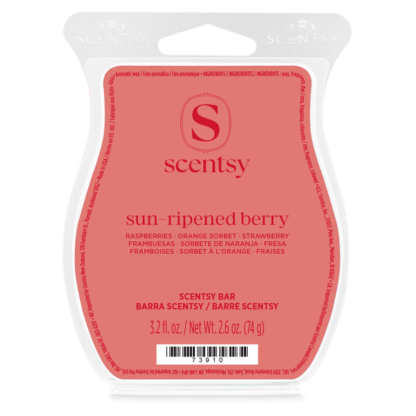 Coral-pink wax bar sealed in clear moulded packaging with a white hanging tab, the Sun-Ripened Berry Scentsy Bar