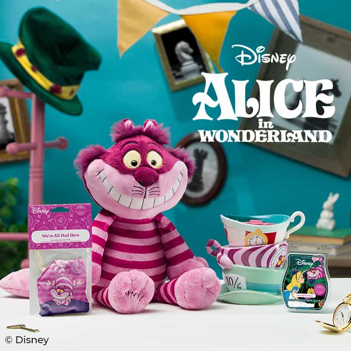 Alice in Wonderland Hero