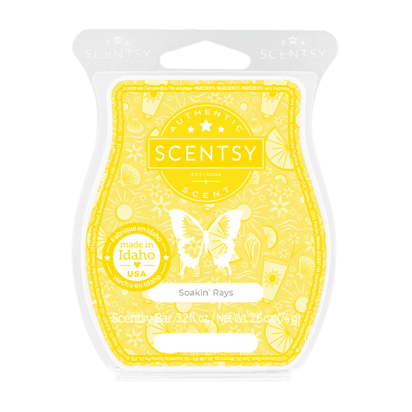 Soakin' Rays Scentsy Bar