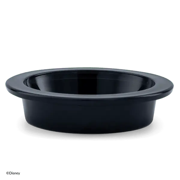 Disney Drive-In Replacement Dish