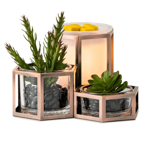 Wild Desert Scentsy Warmer