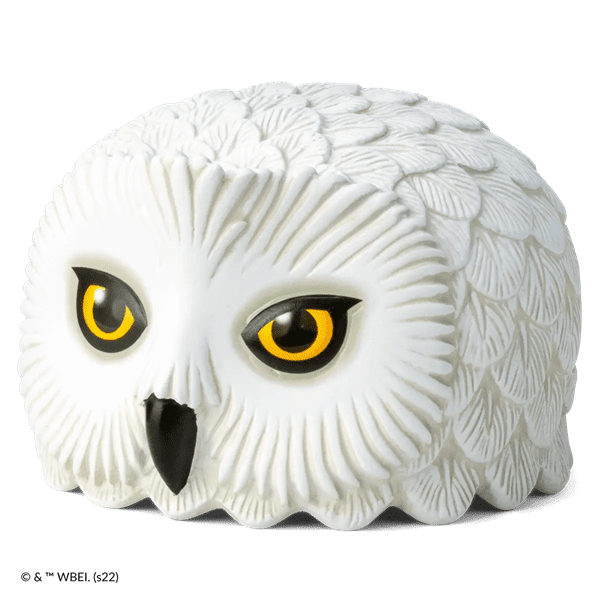 Hedwig Replacement Dish