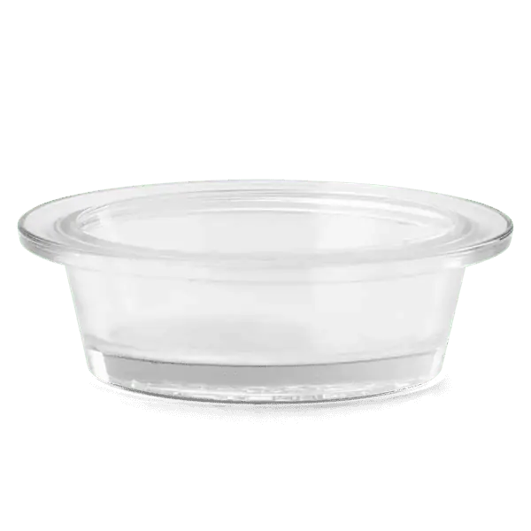 Witch O'Lantern Replacement Dish