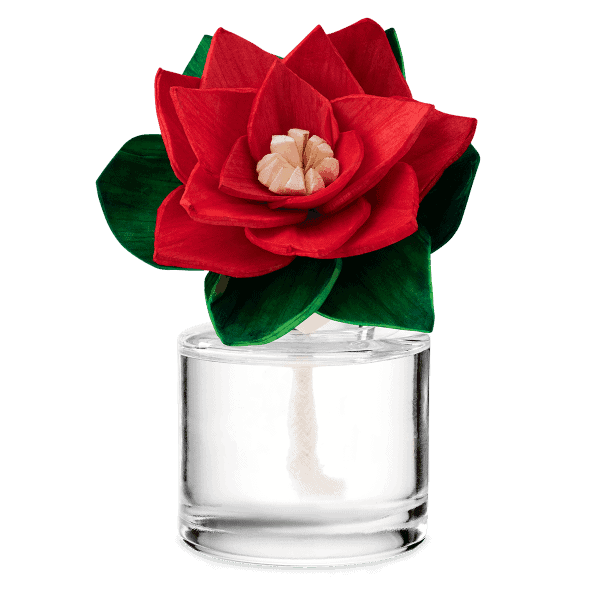 Red velvet poinsettia with cream-colored stamens and dark green leaves in a clear glass vase filled with white wax, the Holiday Shores - Radiant Red Poinsettia Fragrance Flower