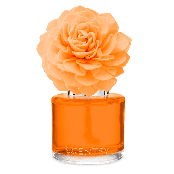 Simply the Zest Dahlia Darling Fragrance Flower