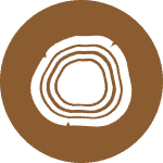 Woods Fragrance Category