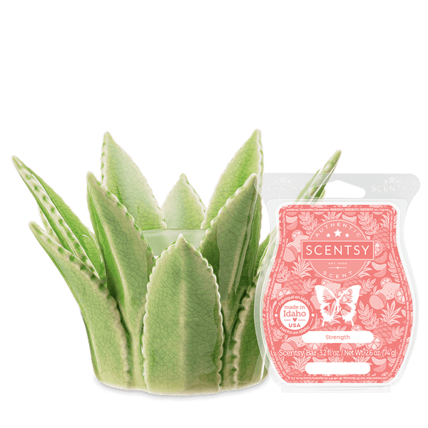 Aloe Vera Scentsy Warmer with Strength Scentsy Bar bundle