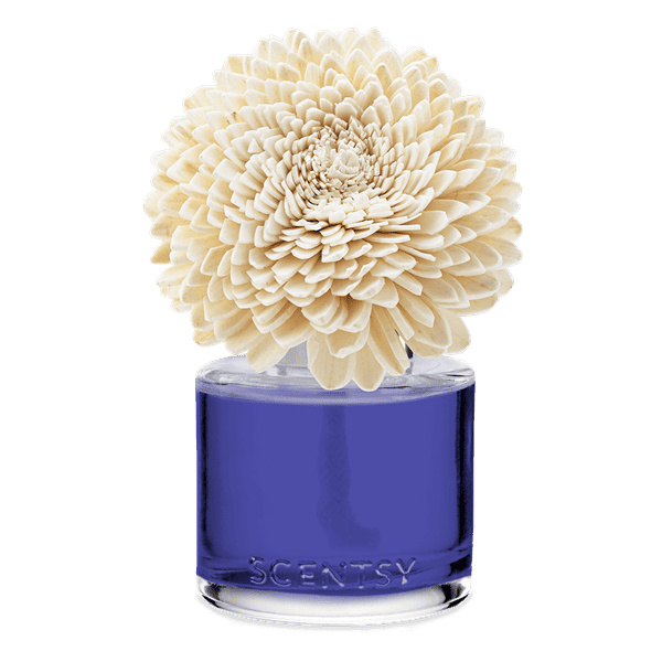 Kindness - Zinnia Zen Fragrance Flower