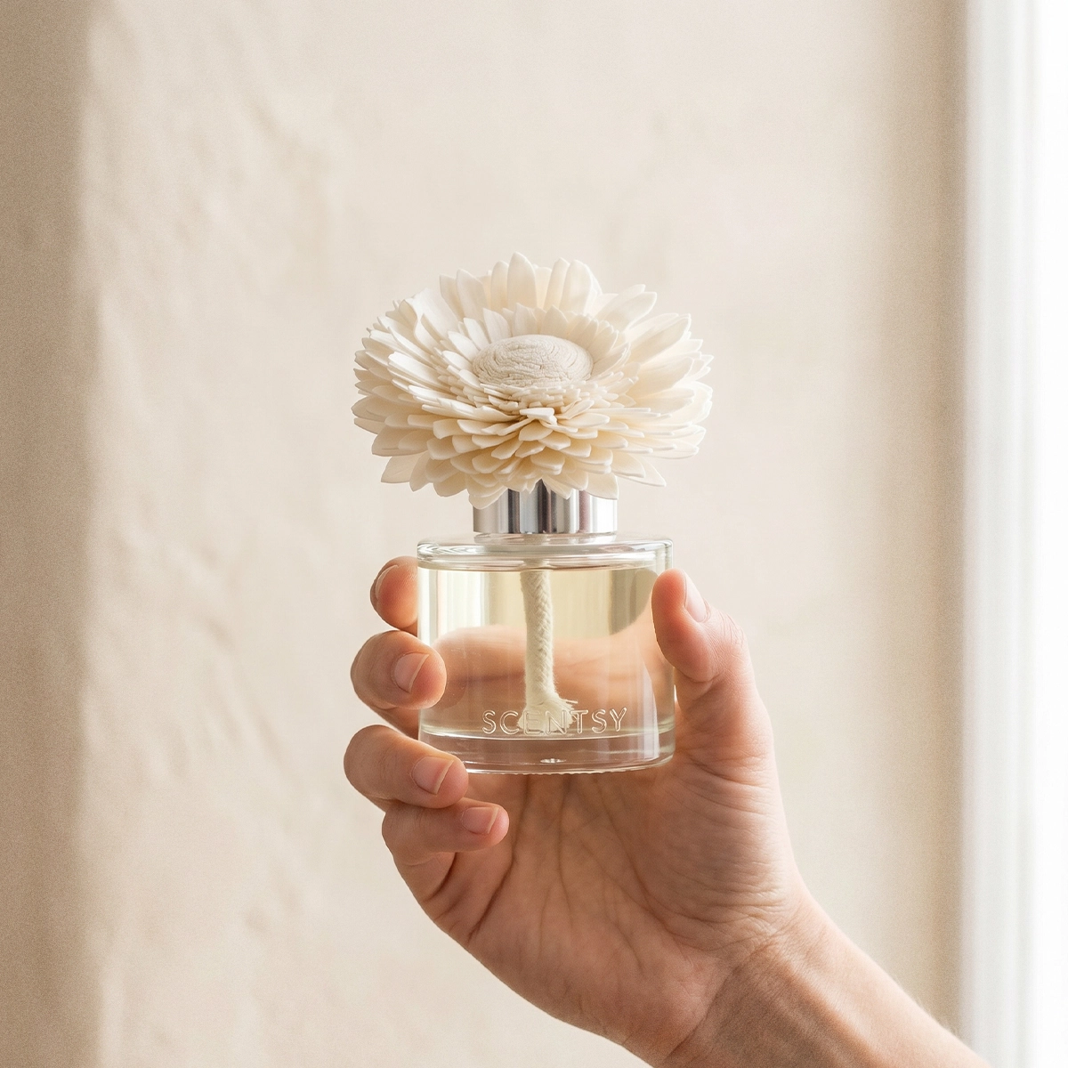 Hand holding a clear glass bottle with pale yellow oil and a cream-coloured daisy-shaped diffuser bloom on top, the Clothesline - Dainty Daisy Fragrance Flower