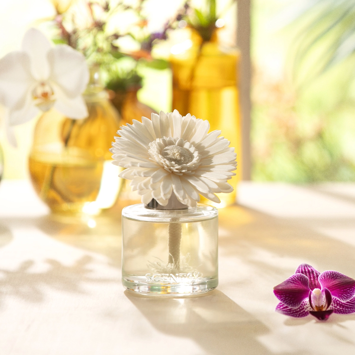 White daisy Fragrance Flower in a clear glass vase filled with liquid, displayed among yellow bottles and purple orchids in bright natural light
