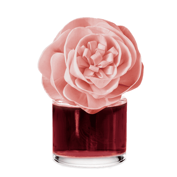 Heirloom Rose - Garden Bouquet Fragrance Flower