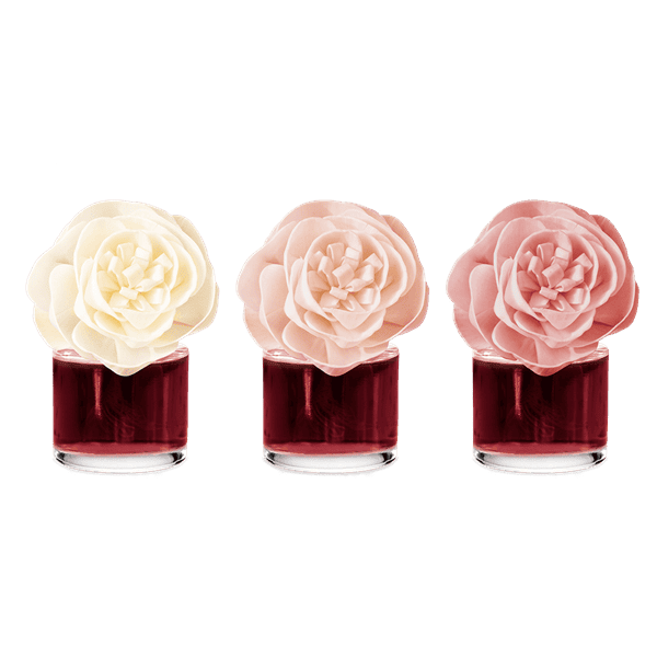 Heirloom Rose - Garden Bouquet Fragrance Flower