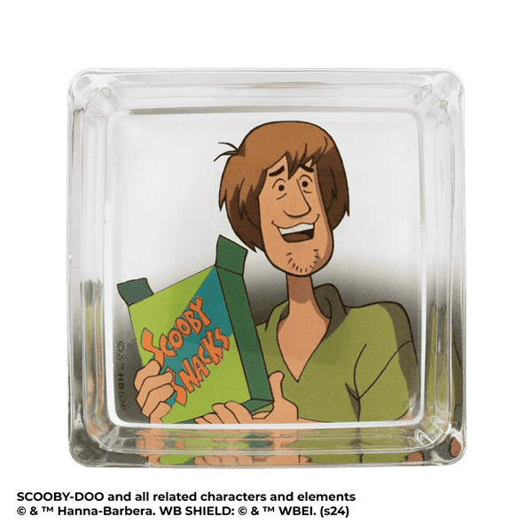 Scooby with Scooby Snacks Scentsy Warmer Dish
