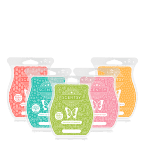 Good Vibes Collection Scentsy Bar 5-pack – Scentsy Online