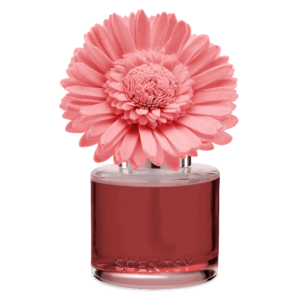 Pink Pineapple & Sugar Dainty Daisy Fragrance Flower