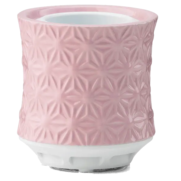 Burst Scentsy Air