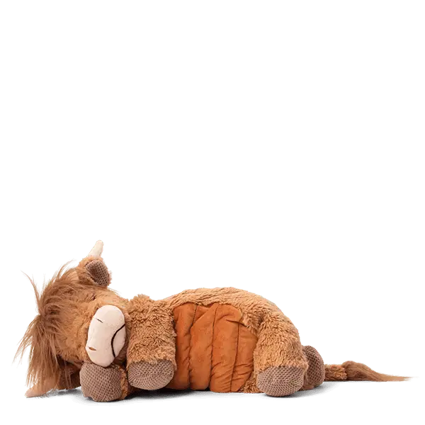 Hamish the Highland Cow Weighted Warming Scentsy Buddy, a plush brown cow lying down with long horns, closed eyes, textured fabric paws, and an orange quilted warming pad across its back